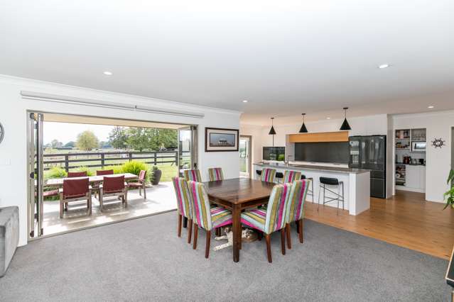 263 Taihoa South Road Matamata_4