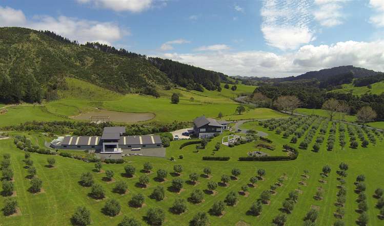 788 Whangaripo Valley Road Whangaripo_4