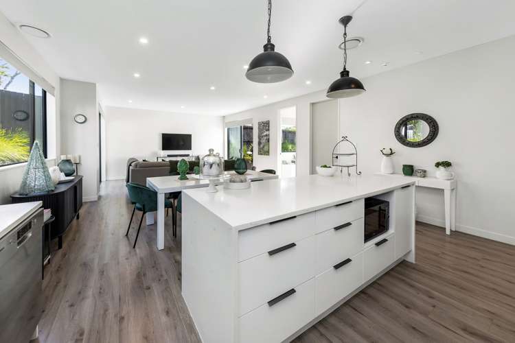 14 Peet Avenue Royal Oak_5