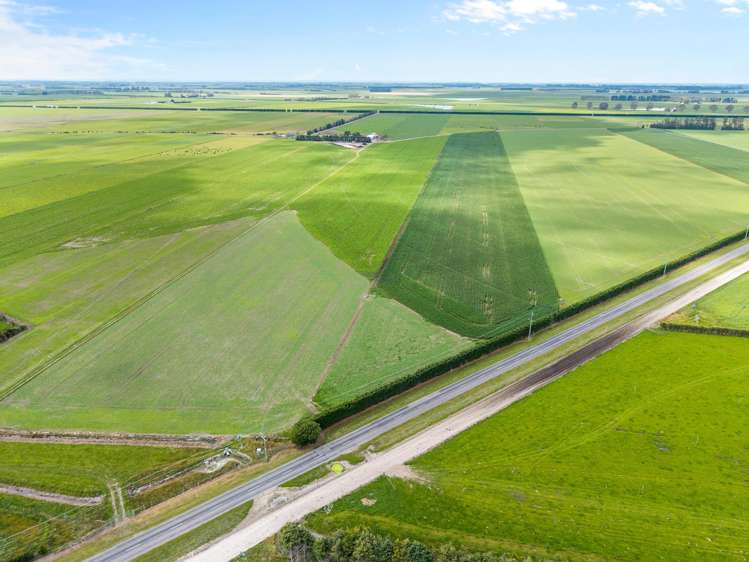 734 Maronan Ealing Road_5