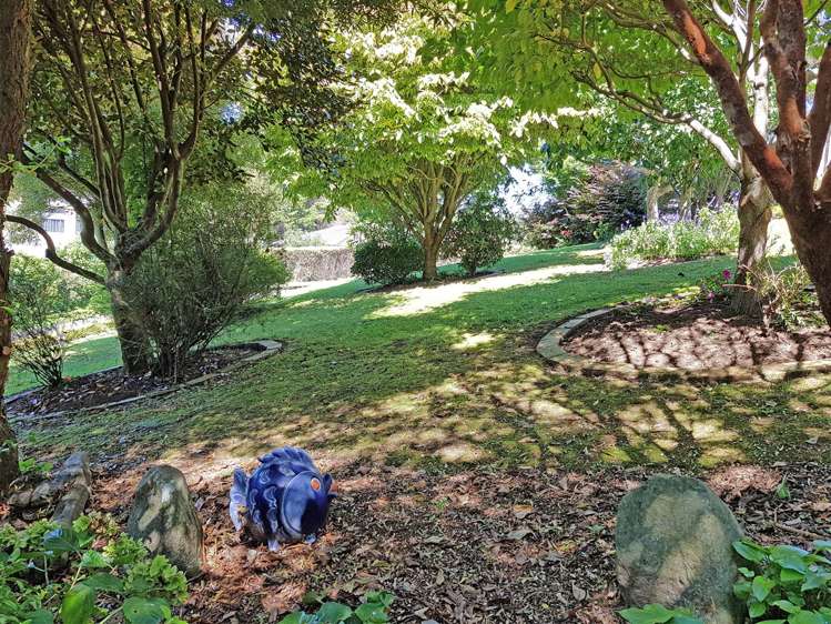 36 Macmillan Street Katikati_17
