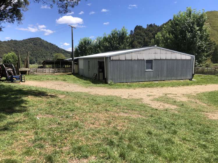 1041 Paparoa Road Whanganui National Park_6