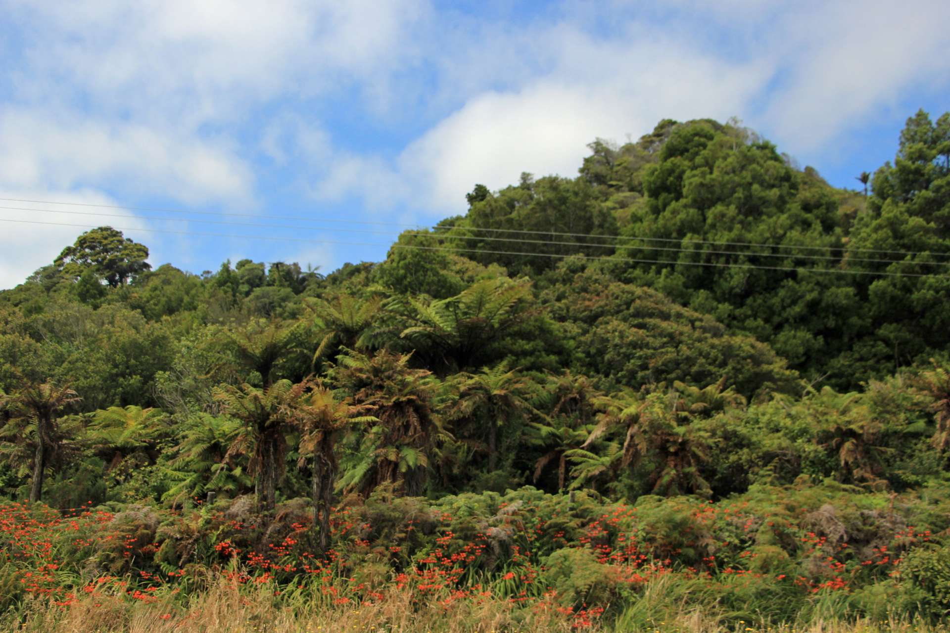 State Highway 6 Barrytown_0