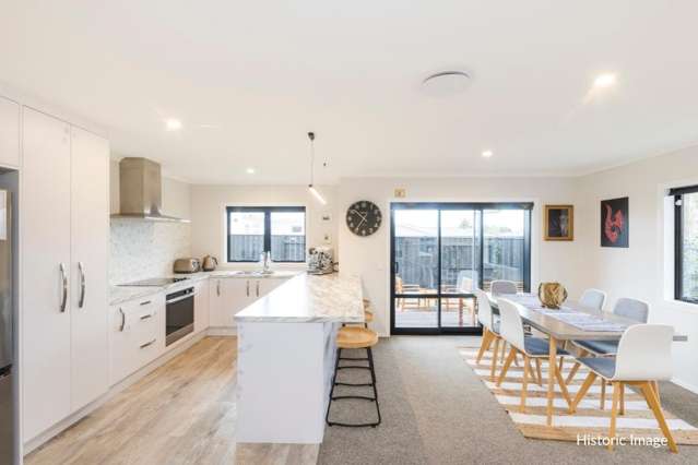 17A McGregor Street Milson_3