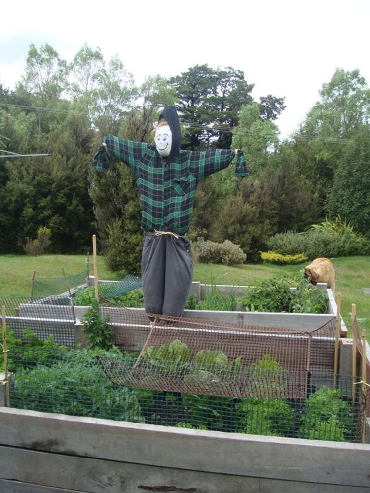 55 Terako Terrace Lyford_17