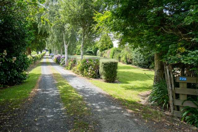 229 Norwegian Road Cambridge_3