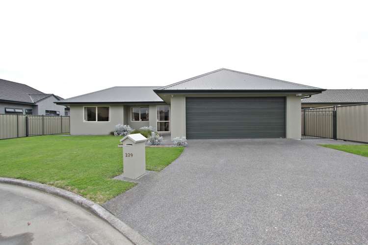 239 Guppy Road Taradale_11