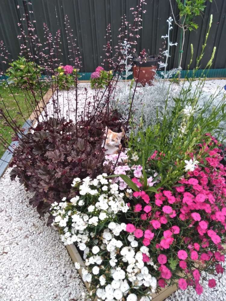 64unit Kawaha Point Road Kawaha Point_19