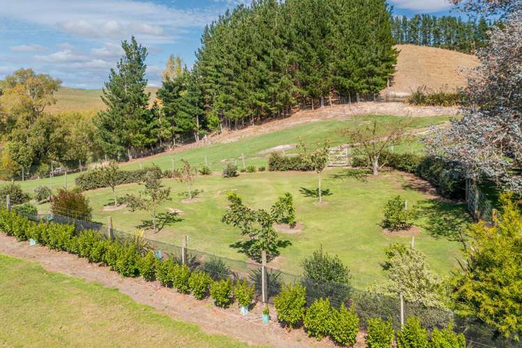 456 Ngahape Road Central Hawkes Bay Country_24