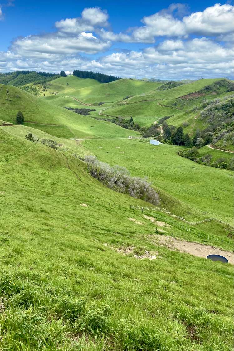 419 Motukawa Road Tarata_17