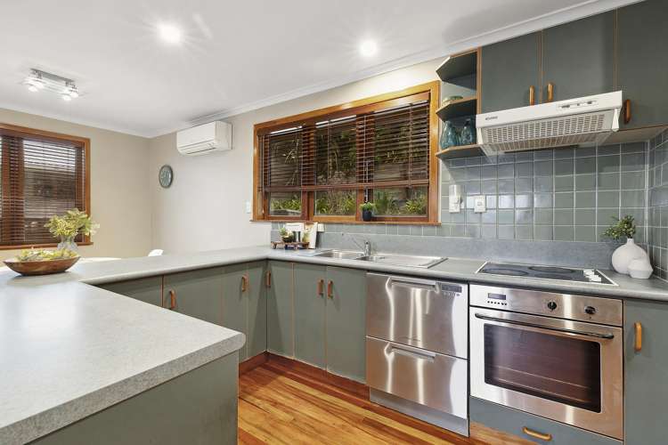 33 Bedford Street Northland_8