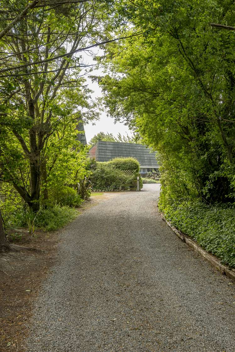 59 Marshmans Road Ashley_17