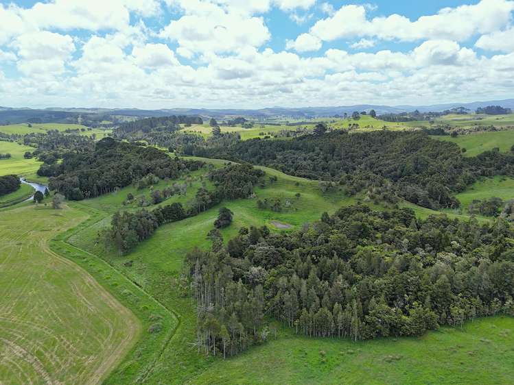 497 Opanake Road Dargaville_18