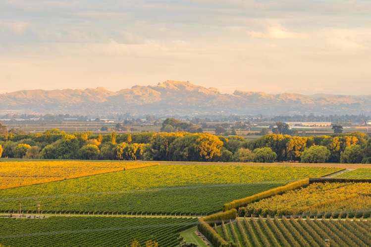 23 Wheatley Road Waiohiki_23