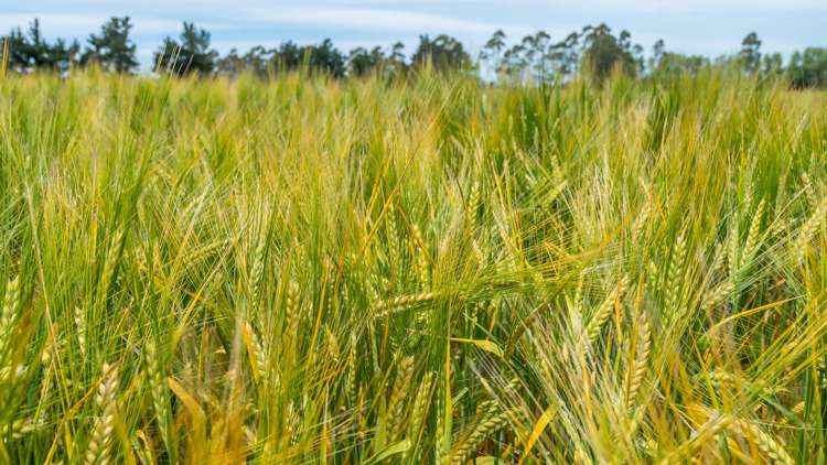 190 Bennetts Road Cust_20