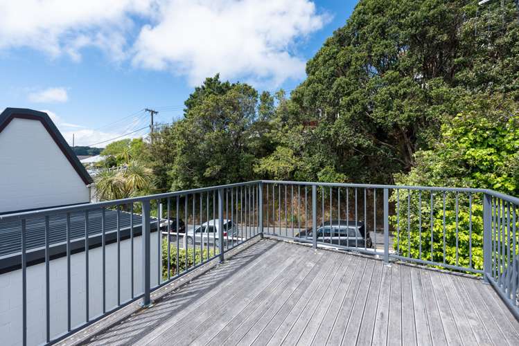 28m Bidwill Street Mount Cook_7