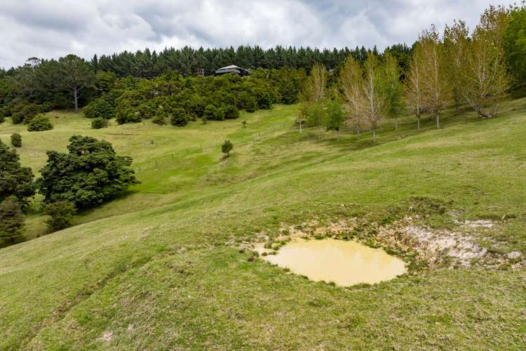 827 Tinopai Road Tinopai_39