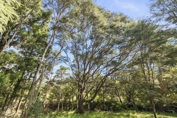 61 Spikes Way Whitianga_25