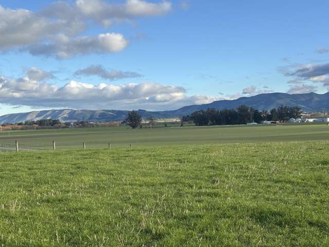 476 Hook School Road Makikihi_4