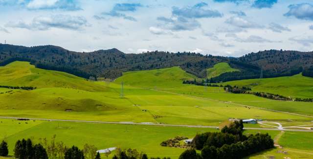 91 Matea Road Taupo_1