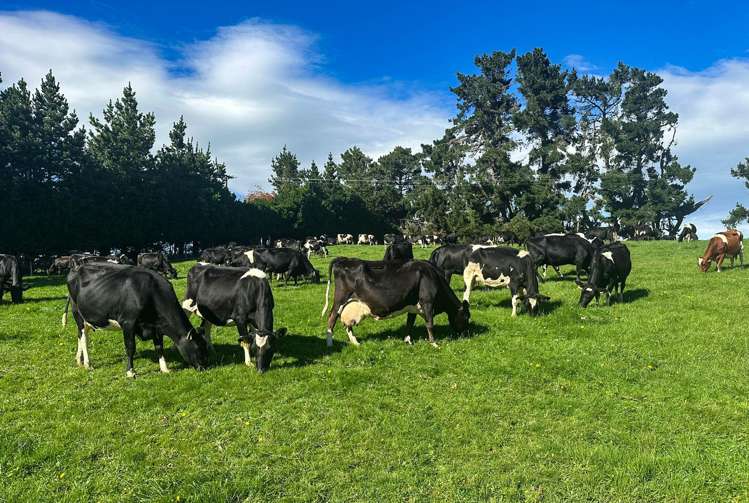 321-349 Chittock Road Maitland_1