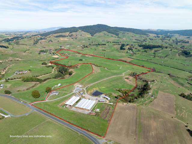 231A Morgan Road Matamata_1