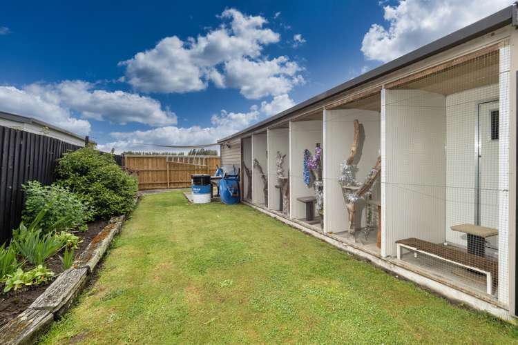 193 Grove Place Tinwald_15