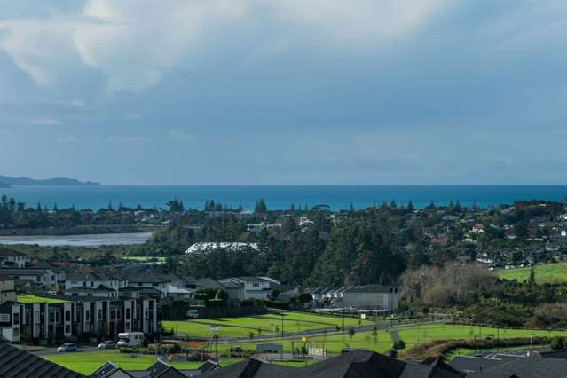 Sunny Home With Views and Granny Potential