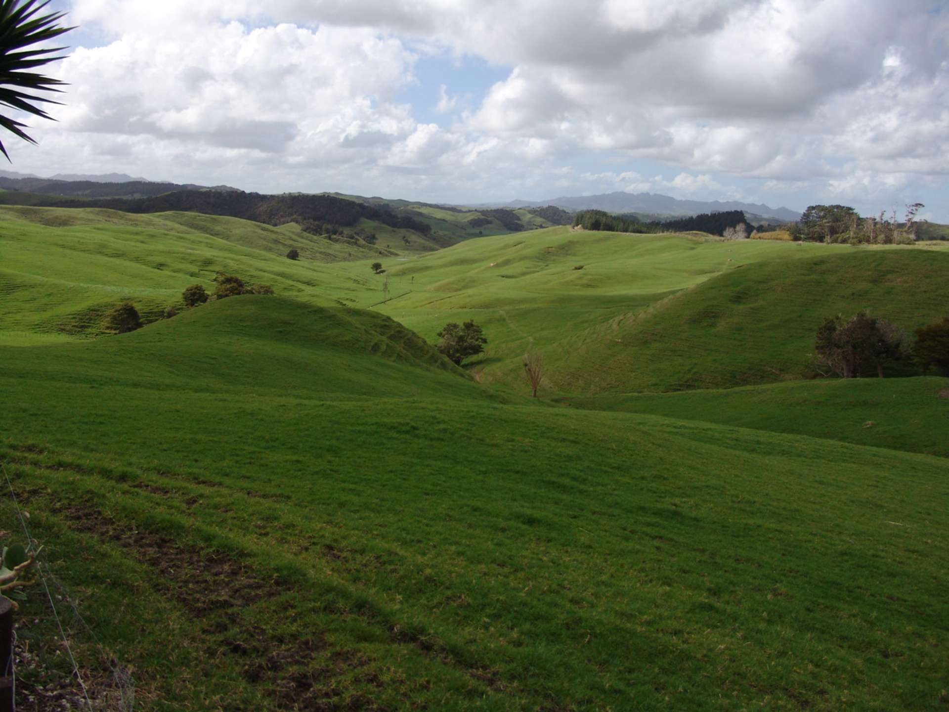 259 Arapohue Road Dargaville Surrounds_0