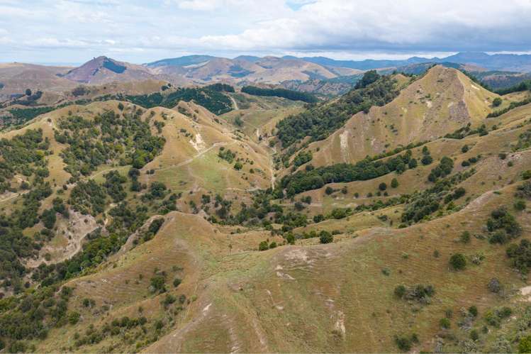 310 Branscombe Road Akitio_13