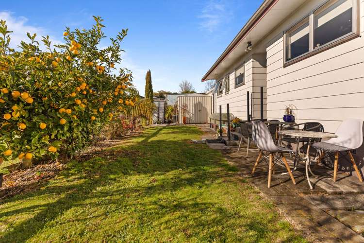 19a Pohutukawa Drive Owhata_11
