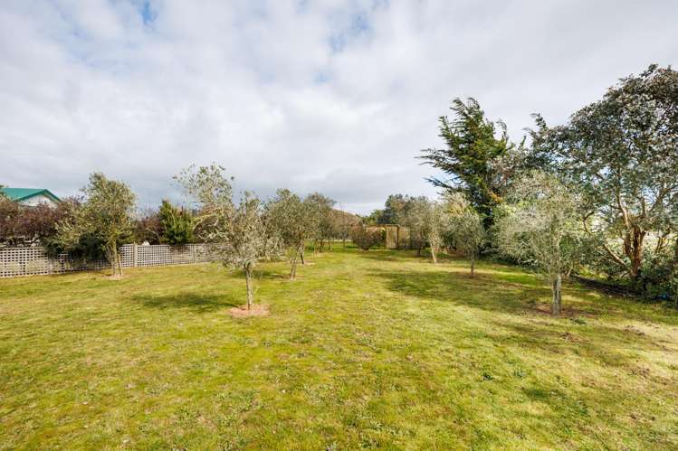 366 Motuiti Road Foxton_42