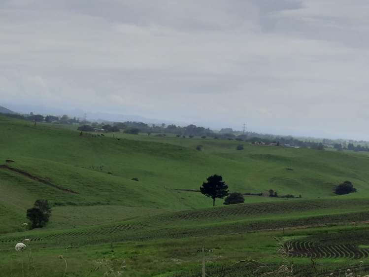 35 Grove Access Road Karamu_10