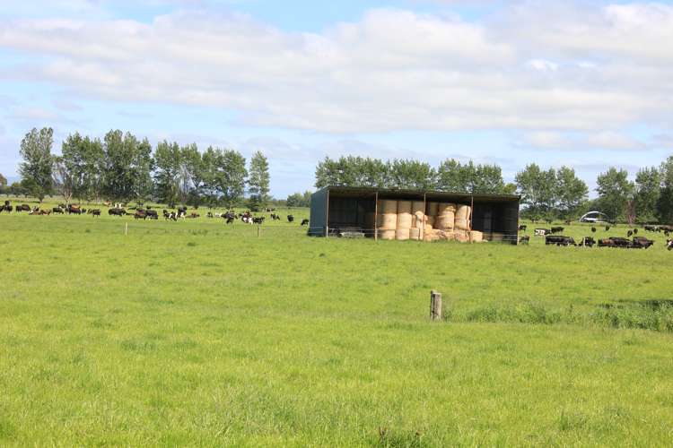 82 Pike Road Winton Surrounds_4