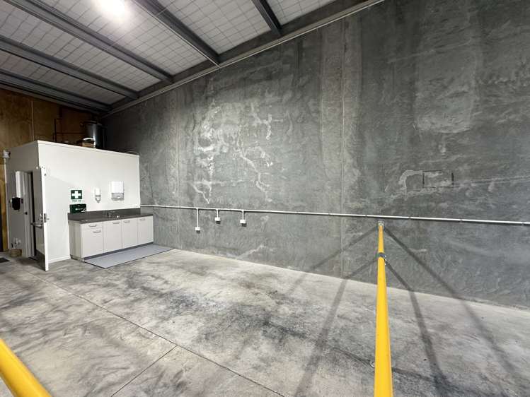 7/11 Hamilton Place Onekawa_4