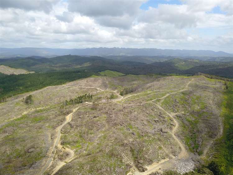 Taheke Road Horeke_5