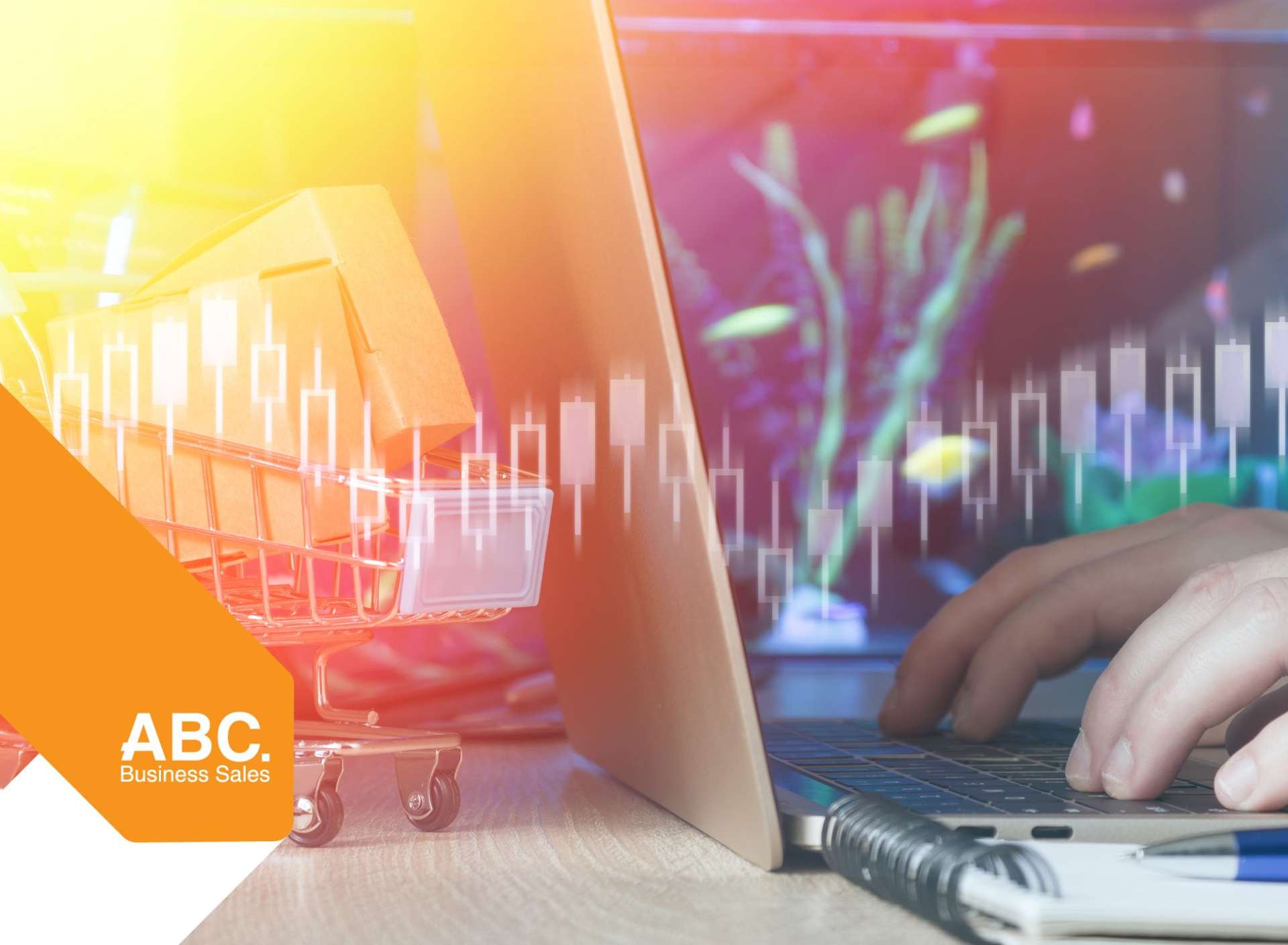 Address withheld Auckland_0