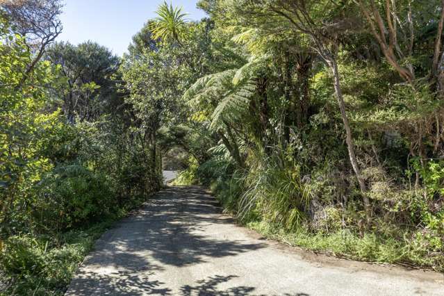 165 Lone Kauri Road Karekare_4