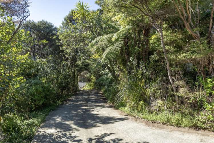 165 Lone Kauri Road_3