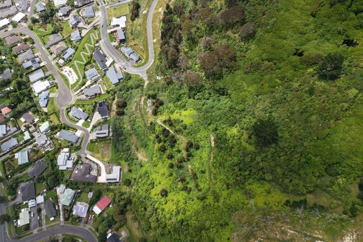 78 - 96 Kakariki Grove Waikanae_11