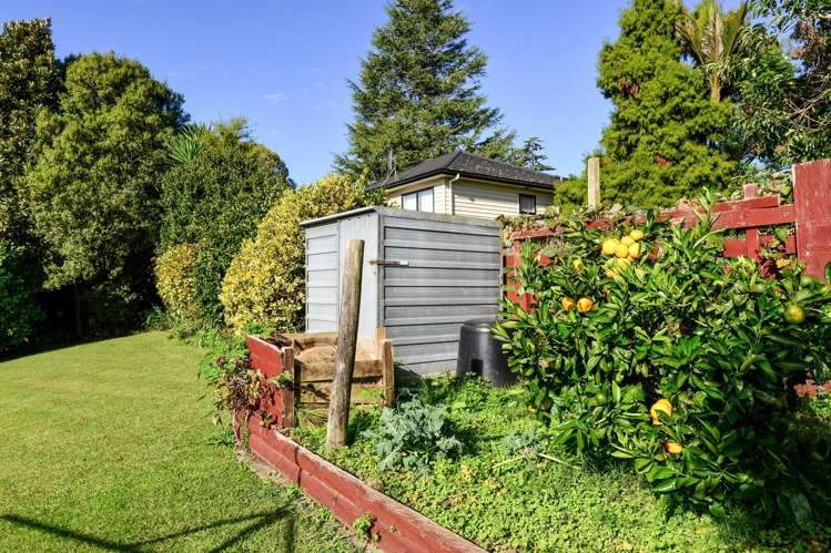 17 Carew Street Nawton_12