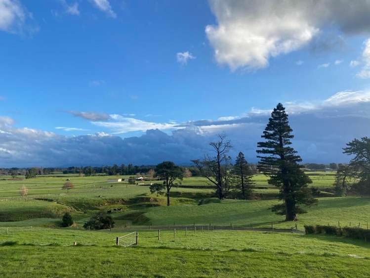 141 Te Tuhi Road Okauia_4