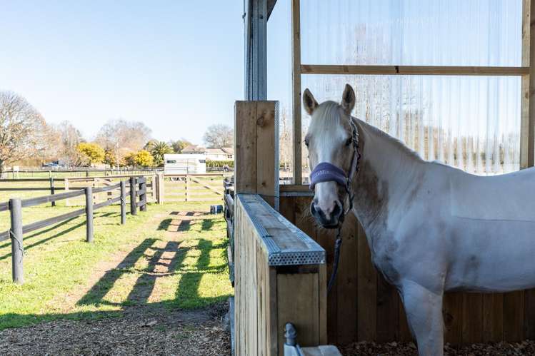 107 Pencarrow Road Tamahere_21