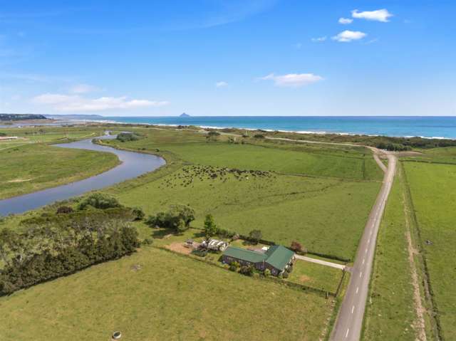 45 Snell Road Opotiki Coastal_1