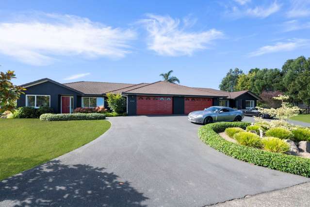 143 Goodland Drive Dairy Flat_1