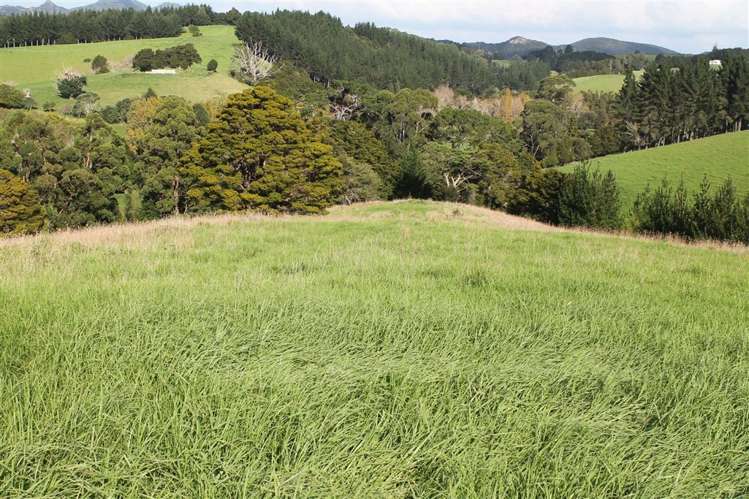 Taraunui Road Parua Bay_8