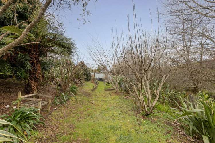 5 Olive Close Omokoroa_24