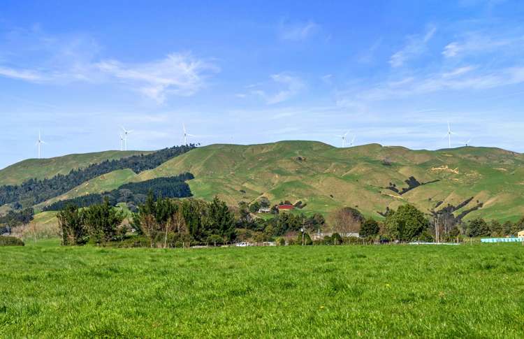 State Highway 23 Raglan_7