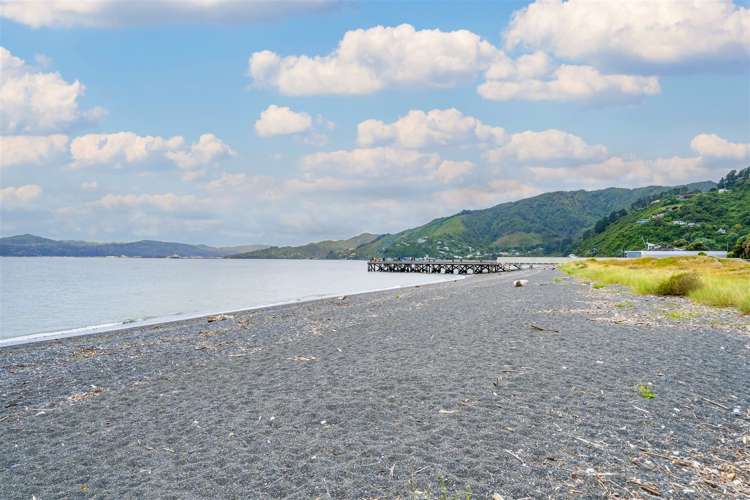 26 Tuatoru Street Eastbourne_20