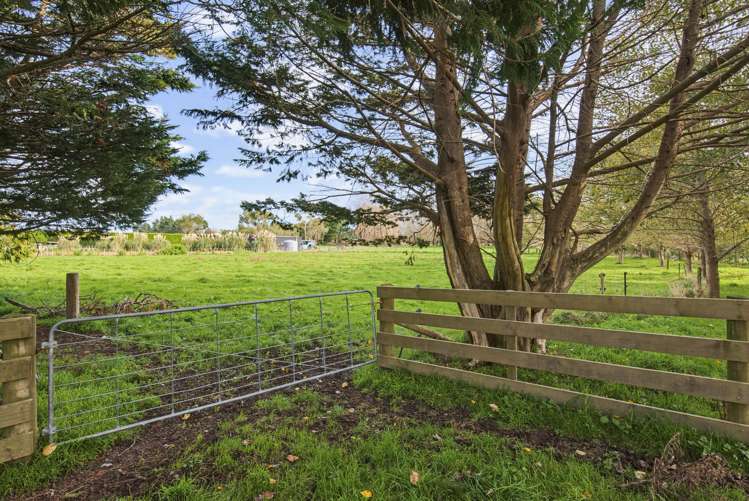 36 Painua Road Hokio Beach_17